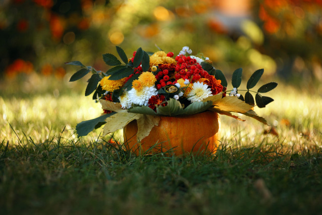Обои картинки фото цветы, букеты,  композиции, осень, природа