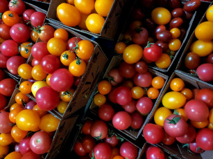 Картинка еда помидоры томаты