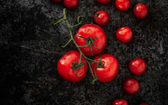 Обои картинки фото еда, помидоры, томаты