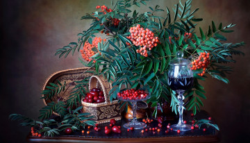 Картинка еда фрукты +ягоды рябина клюква вино