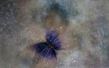 Картинка разное компьютерный+дизайн бабочка