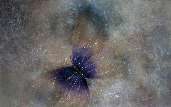 Обои картинки фото разное, компьютерный дизайн, бабочка