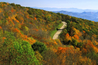 обоя природа, горы, лес, осень, дорога, шоссе