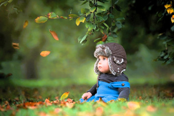 обоя разное, дети, ребенок, шапка, свитер, комбинезон, деревья, листья, осень, трава