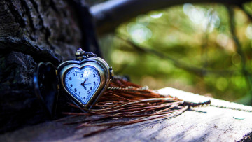 обоя разное, часы,  часовые механизмы, дерево, сердечко, хвоя, скамейка