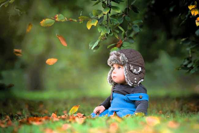 Обои картинки фото разное, дети, ребенок, шапка, свитер, комбинезон, деревья, листья, осень, трава