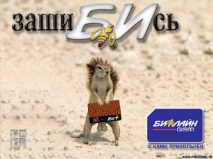 Картинка юмор приколы