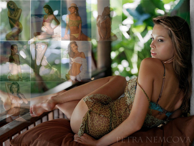 Обои картинки фото Petra Nemcova, девушки