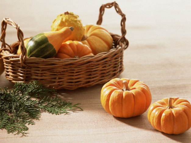 Обои картинки фото еда, тыква