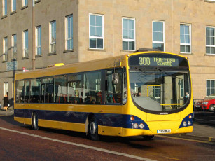 Картинка автомобили автобусы