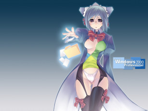 обоя компьютеры, windows, 2000