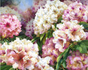 обоя darryl, trott, рисованные