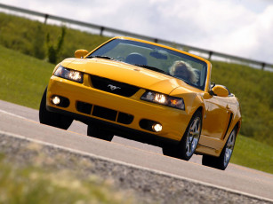 Картинка автомобили mustang