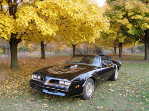 Картинка автомобили pontiac