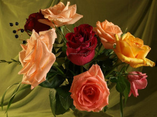 Картинка цветы розы