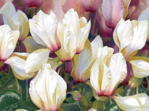 Картинка darryl trott рисованные