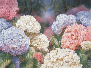 Картинка darryl trott рисованные