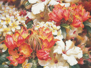 Картинка darryl trott рисованные