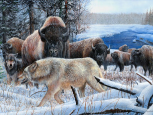 обоя kevin, daniel, рисованные