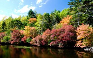 Картинка природа реки озера