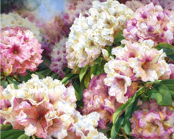 Обои картинки фото darryl, trott, рисованные