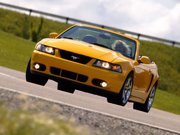 Обои картинки фото автомобили, mustang