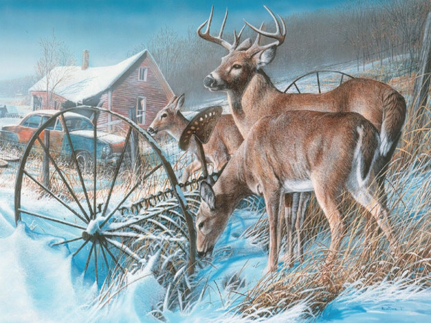 Обои картинки фото kevin, daniel, рисованные