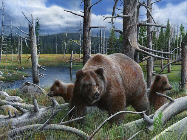 Обои картинки фото kevin, daniel, рисованные, животные