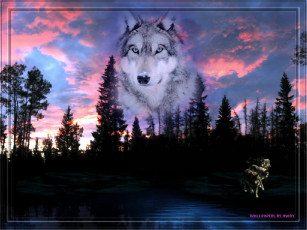 Картинка разное компьютерный дизайн