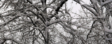 Картинка природа зима