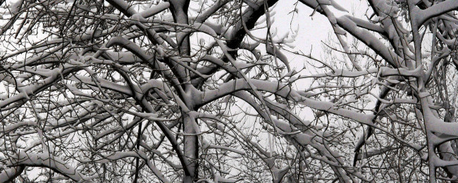 Обои картинки фото природа, зима