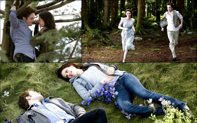 Обои картинки фото кино, фильмы, the, twilight, saga, eclipse