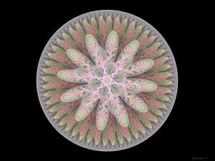 Картинка 3д графика fractal фракталы абстракция узор