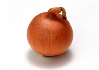 Картинка еда лук