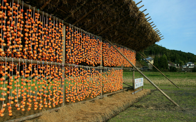 Обои картинки фото еда, хурма, сушка, овощей