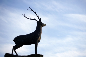 Картинка разное рельефы статуи музейные экспонаты олень