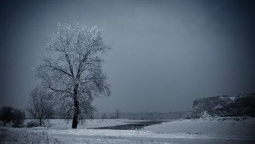 Картинка природа зима