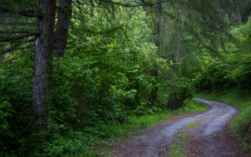 Картинка природа дороги