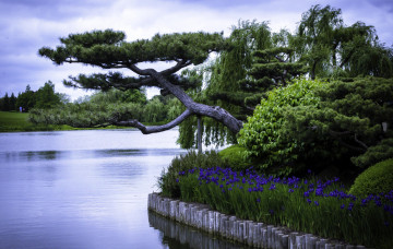 Картинка природа парк