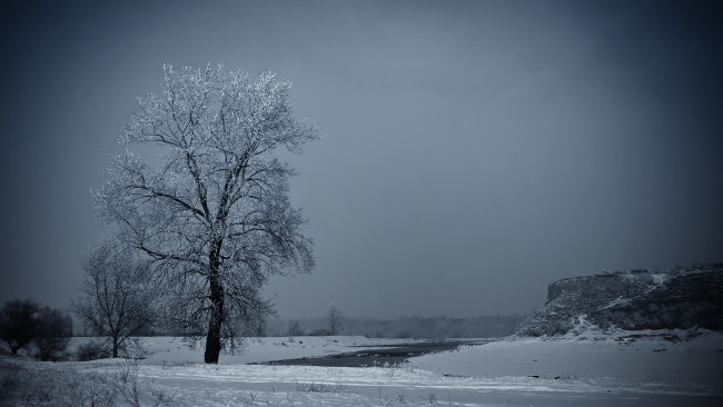 Обои картинки фото природа, зима