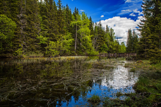 Обои картинки фото природа, реки озера