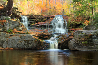 Картинка природа водопады водопад река лес