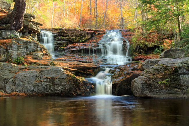 Обои картинки фото природа, водопады, водопад, река, лес