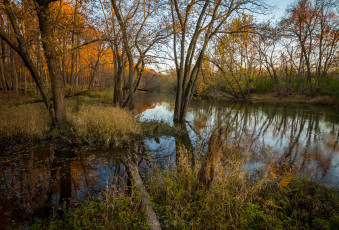 Картинка природа реки озера река лес