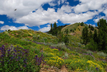 Картинка природа пейзажи простор