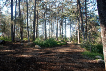 Картинка природа дороги тракт