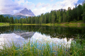 Картинка природа реки озера лес река