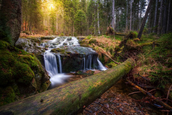 Картинка природа водопады водопад река лес