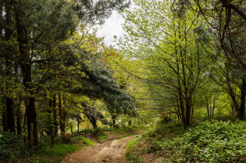 Картинка природа дороги тракт