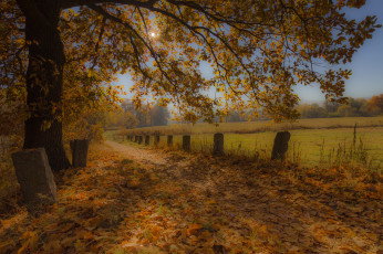 Картинка природа дороги тракт